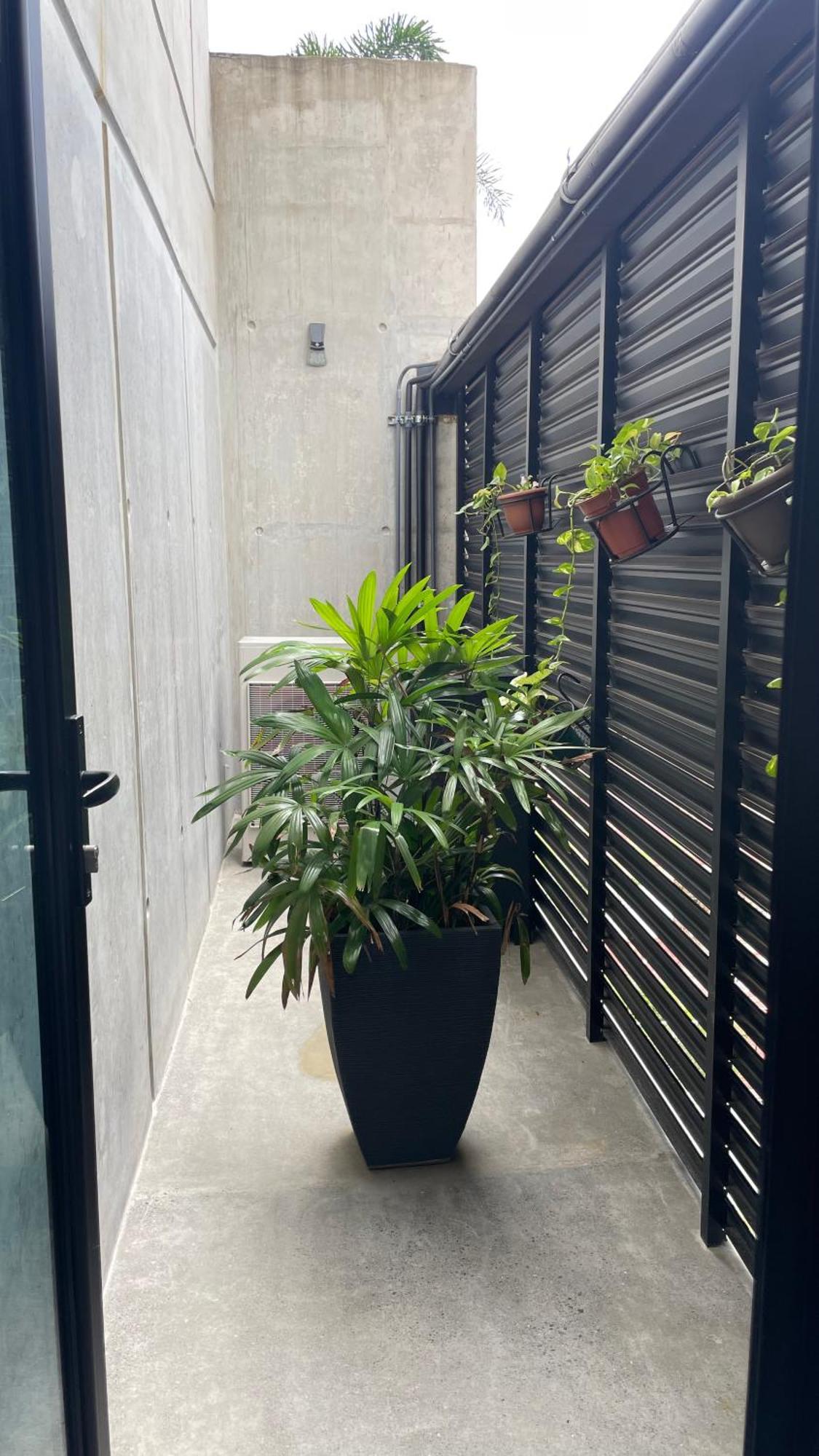 Cozy Apartment With Terrace, Sj Cosmopolitan Tower #402 San José Esterno foto
